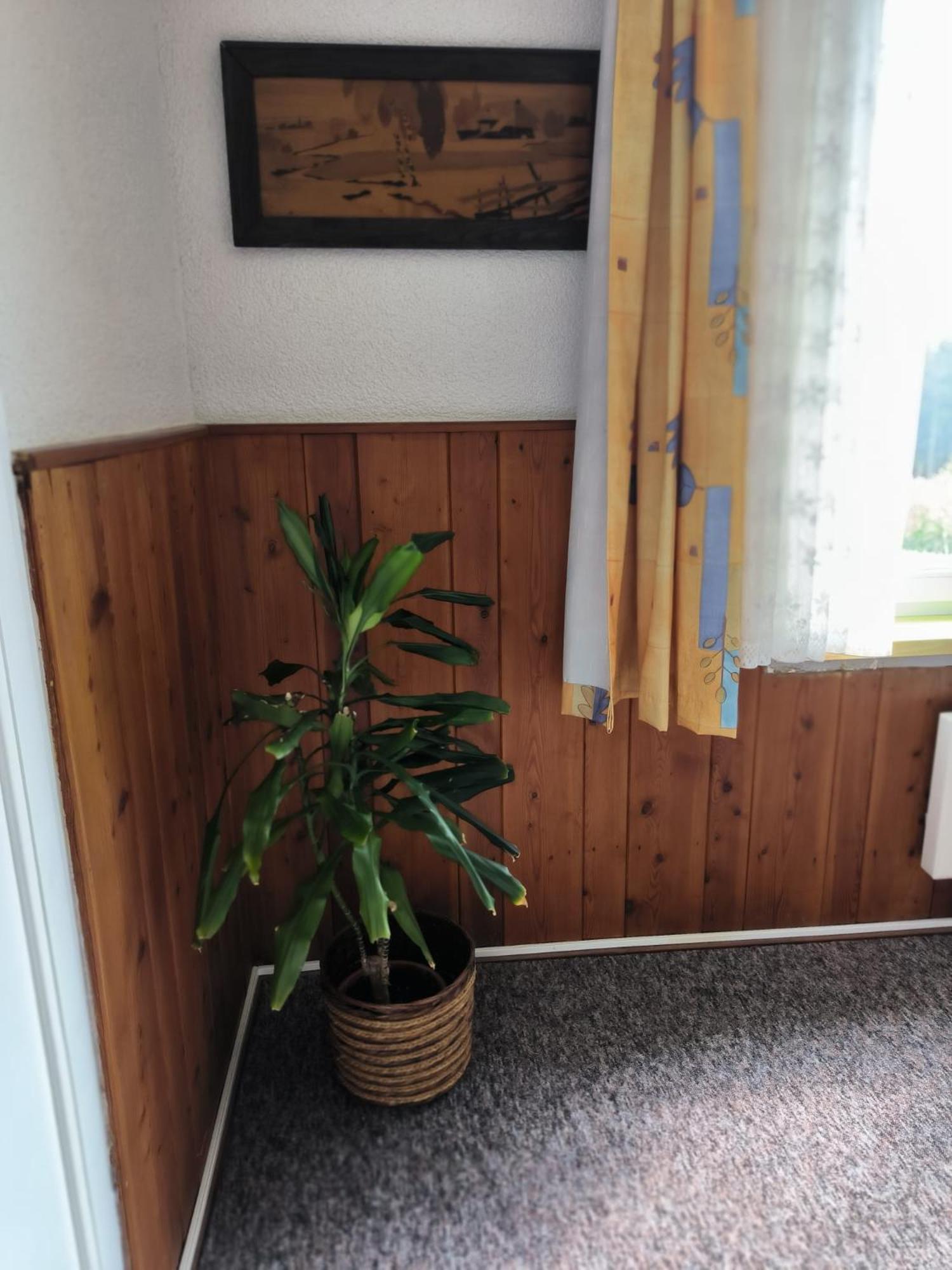 Chata Rybná 18 Pernink Exterior foto