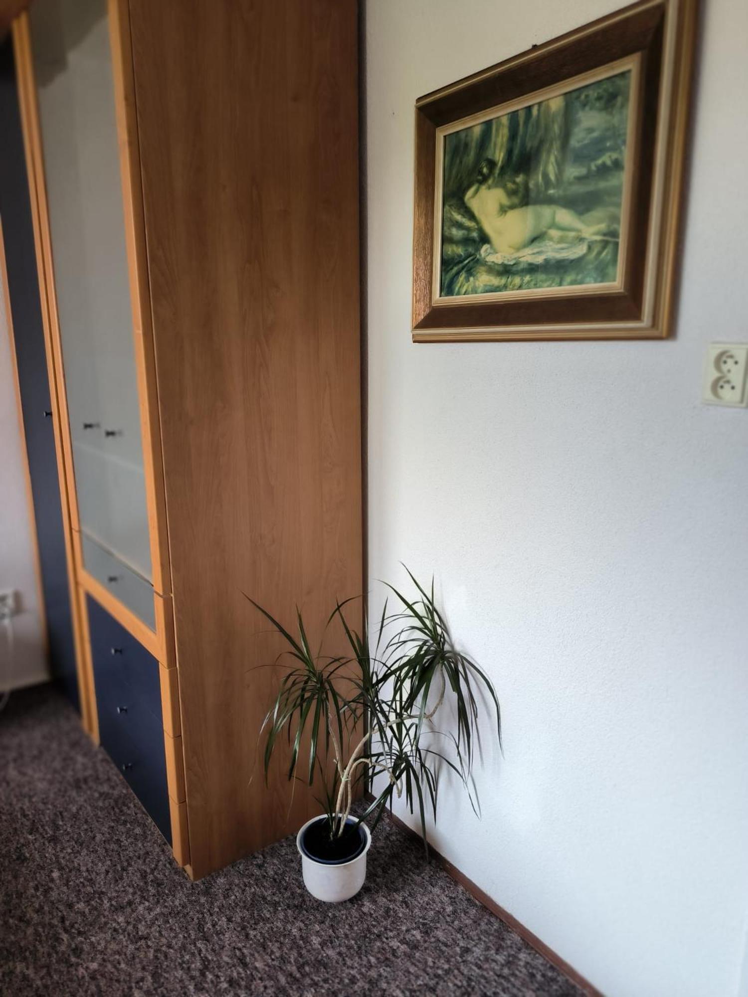 Chata Rybná 18 Pernink Exterior foto